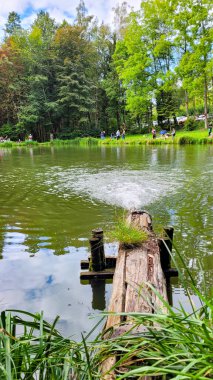 Lellwangen, Baden-Wurttemberg, Almanya - 11 Eylül 2022. Ön planda bir havalandırması ve karşı kıyıda balıkçıları olan yapay bir gölet..
