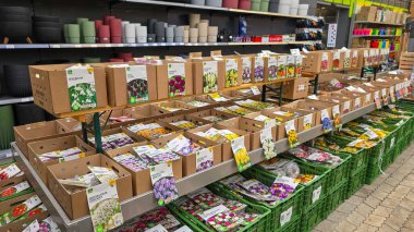 Meersburg, Almanya - 9 Eylül 2025. Stetten 'daki Bahçe Merkezi Gartencenter Rohm' da satılık çeşitli bahar çiçeklerinin birçok ampullerinin görüntüsü.