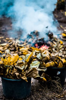 Yanıyorum. Dumanlı sonbahar şenlik ateşi. Sarı yapraklar dumanda.