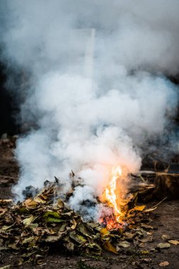 Yanıyorum. Dumanlı sonbahar şenlik ateşi. Sarı yapraklar dumanda.