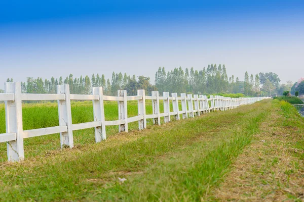 White fence in farm — Stock Photo, Image