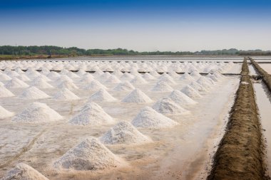 Tayland 'da tuz tarımı
