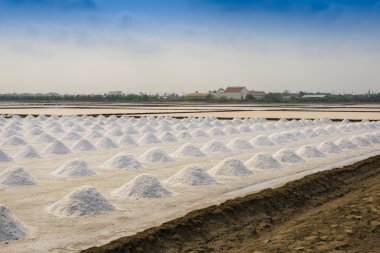 Tayland 'da tuz tarımı