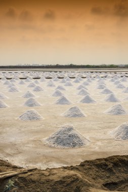 Tayland 'da tuz tarımı