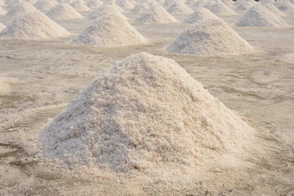 Salt farming in Thailand — Stock Photo, Image