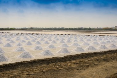 Tayland 'da tuz tarımı