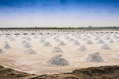 Tayland 'da tuz tarımı
