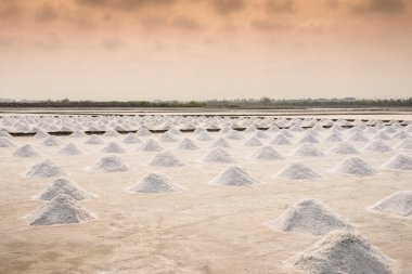 Tayland 'da tuz tarımı