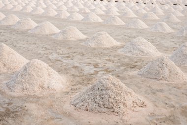 Tayland 'da tuz tarımı