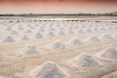 Tayland 'da tuz tarımı