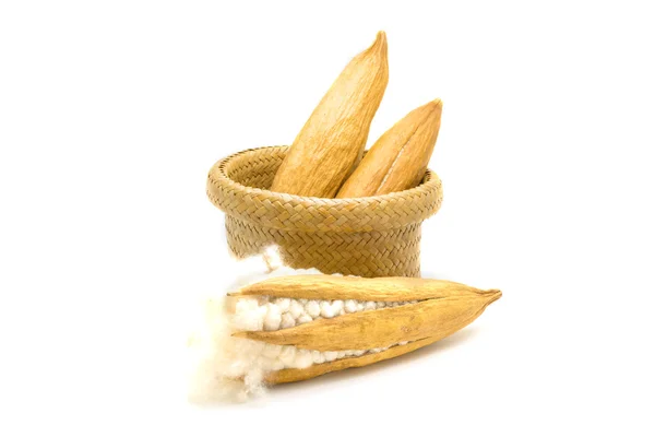 Kapok zaden met witte vezels voor het maken van kussen — Stockfoto