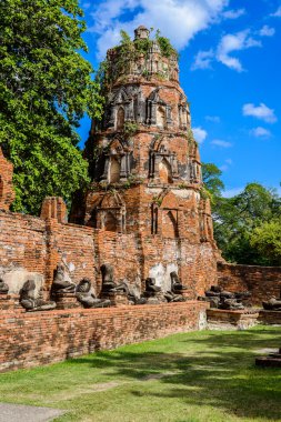 Ayutthaya tapınak kalıntıları, Wat Maha olduğunu