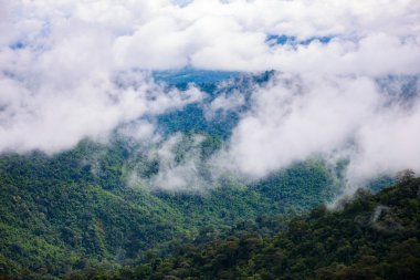 Dağ sis thongphaphum doğal