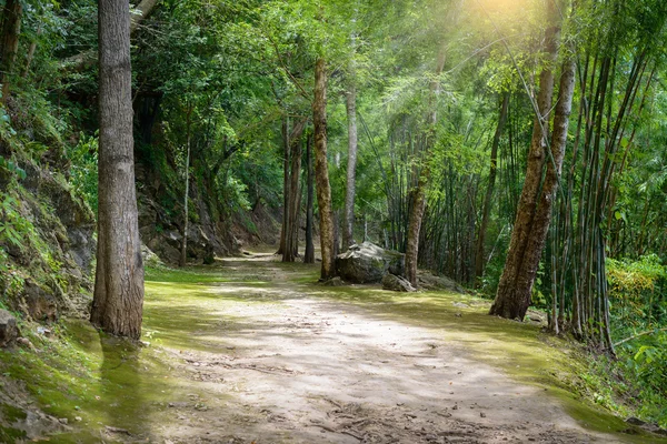 Naturstig på Hellfire Pass Trail — Stockfoto