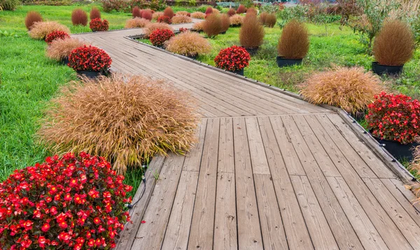 Passarela de madeira no jardim — Fotografia de Stock