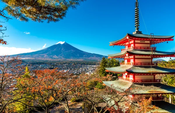 Mt.Fuji en pagode — Stockfoto