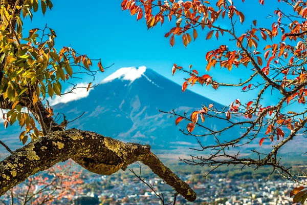 Kırmızı pagoda görünümünden Fuji Dağı — Stok fotoğraf