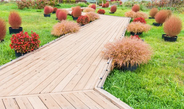 Passarela de madeira no jardim — Fotografia de Stock