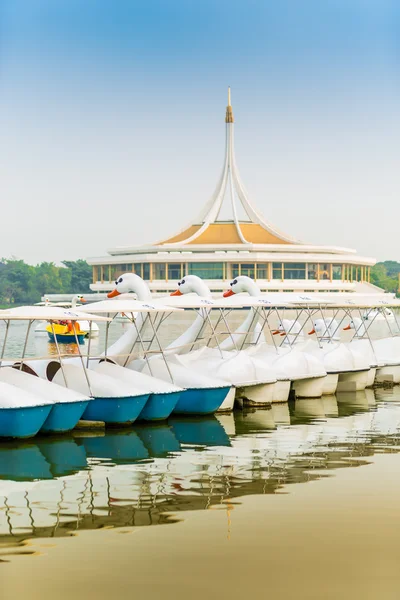 The line of swan pedal boat in the park — Stock Photo, Image