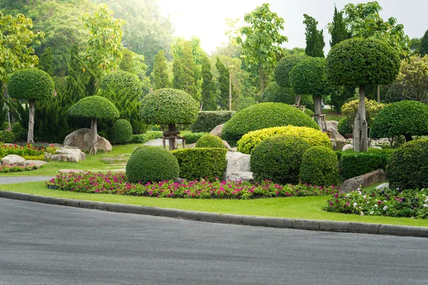Tuinieren en Landscaping met decoratieve bomen — Stockfoto