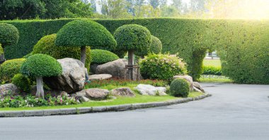Bahçe ve çevre düzenlemesi ile Dekoratif ağaçlar
