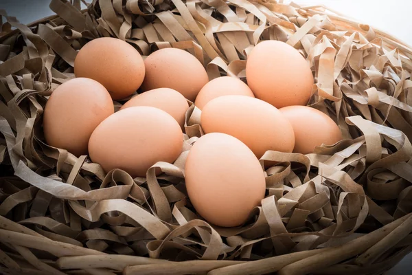 Slepičí vejce ve slaměné papíru — Stock fotografie
