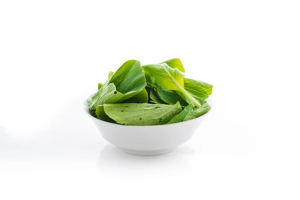 Chinese cabbage isolated — Stock Photo, Image