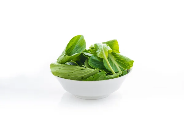 Chinese cabbage isolated — Stock Photo, Image