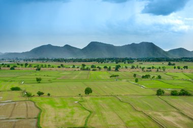 Dağ yeşil alan manzara güzel