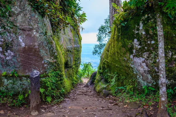 Phu Hin Rong Kla National Park, Phitsanulok provinsen — Stockfoto