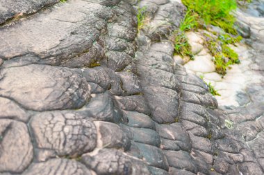 Phu Hin Rong Kla Milli Parkı, Phitsanulok il