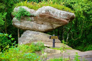 Phu Hin Rong Kla Milli Parkı, Phitsanulok il