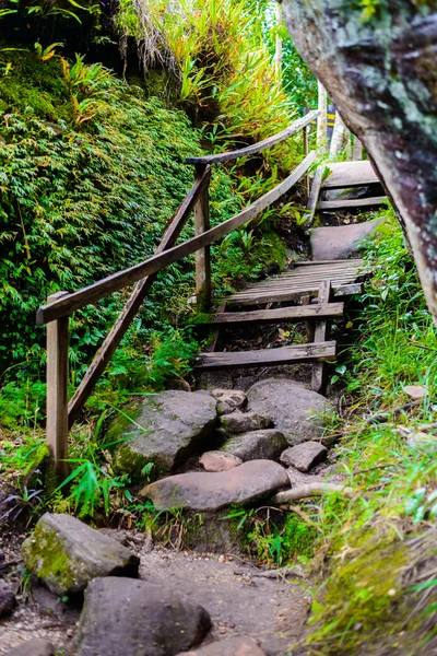 プー ヒン ローン クラー国立公園、ピッサヌローク県 — ストック写真