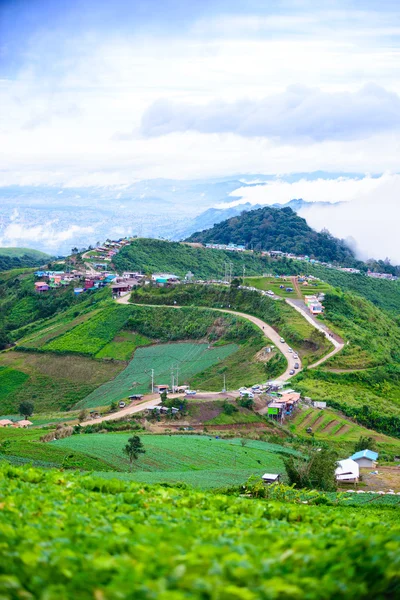 Mountain road at ( phu tubberk) in Phu Hin Rong Kla National Par — Stock Photo, Image