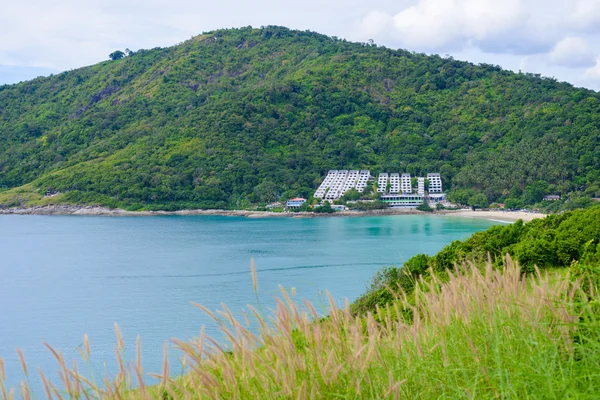 草花和海面背景 — 图库照片