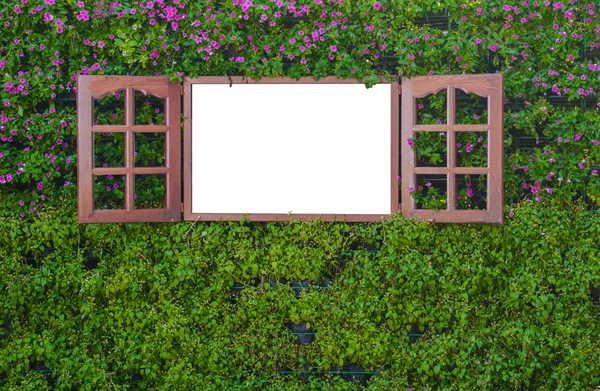 The vertical garden — Stock Photo, Image