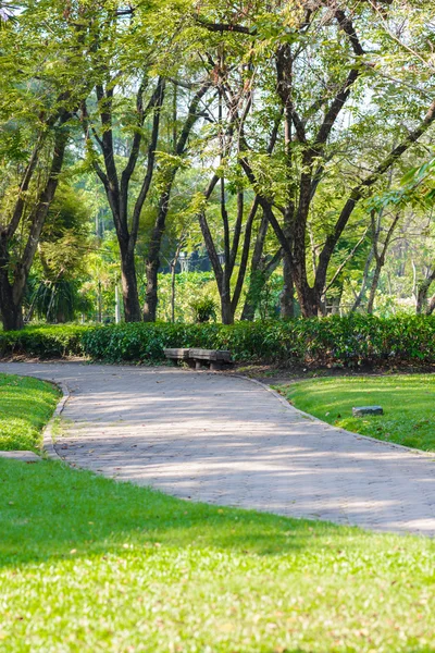 The walk in the park — Stock Photo, Image