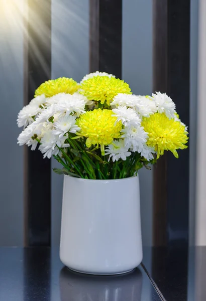 Flor de crisântemo branca e amarela — Fotografia de Stock