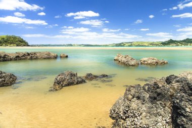Beautiful sea landscape in New Zealand clipart