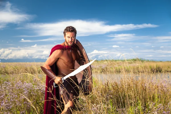 Fighting forntida krigare i landskapet bakgrund — Stockfoto