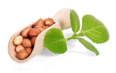 bir tahta kaşık closeup ile üzerine beyaz izole yaprak yeşil fıstık