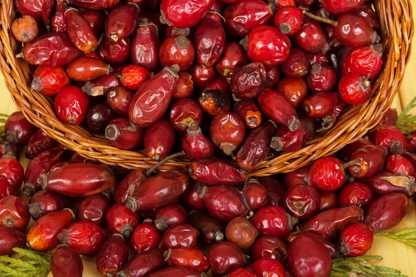 Dried rose hips in a basket — Stock Photo, Image