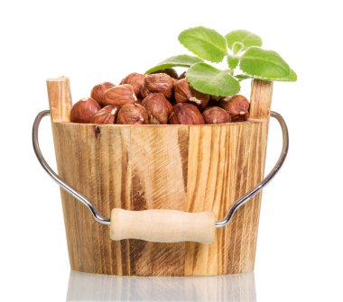 Fındık üzerinde beyaz izole tahta kova