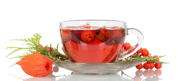 Té de las caderas en una taza aislada en blanco —  Fotos de Stock