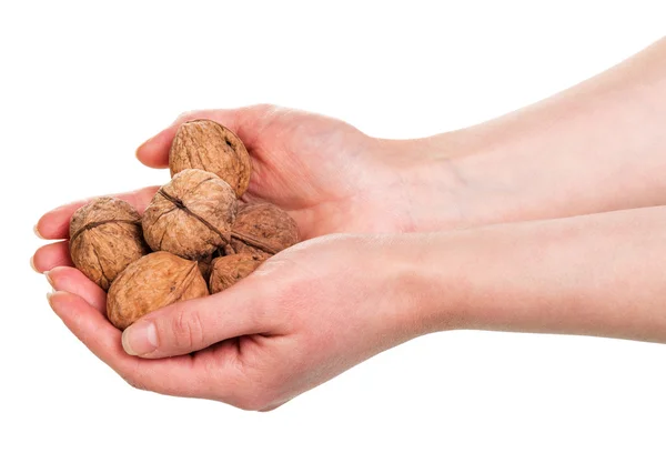 Walnut kernels in the hands isolated on white — Stock Photo, Image