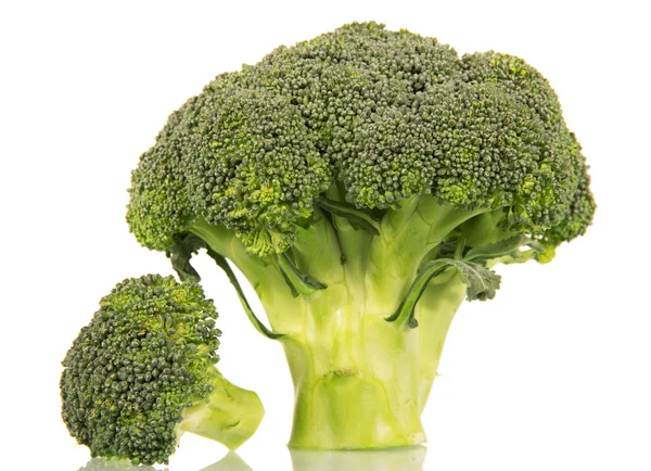 Gröna broccoli nära upp isolerade — Stockfoto