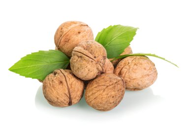 Beyaz arka plan üzerinde izole ham ceviz avuç