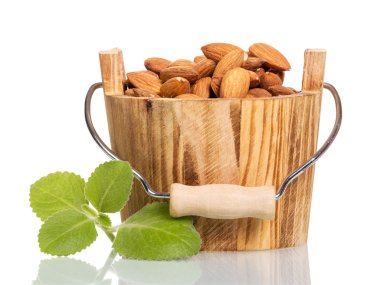 Ceviz ahşap bir demet beyaz izole