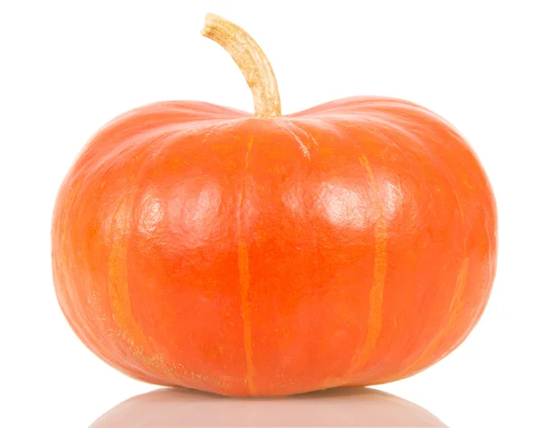 Abóbora laranja madura isolada em branco — Fotografia de Stock