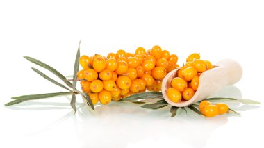 Bunch  sea buckthorn berries in  wooden scoop isolated on whited. clipart